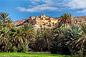 Marocco meridionale - La Kasbah di Tiout fa da sfondo alla palmeria (Taroudannt). 